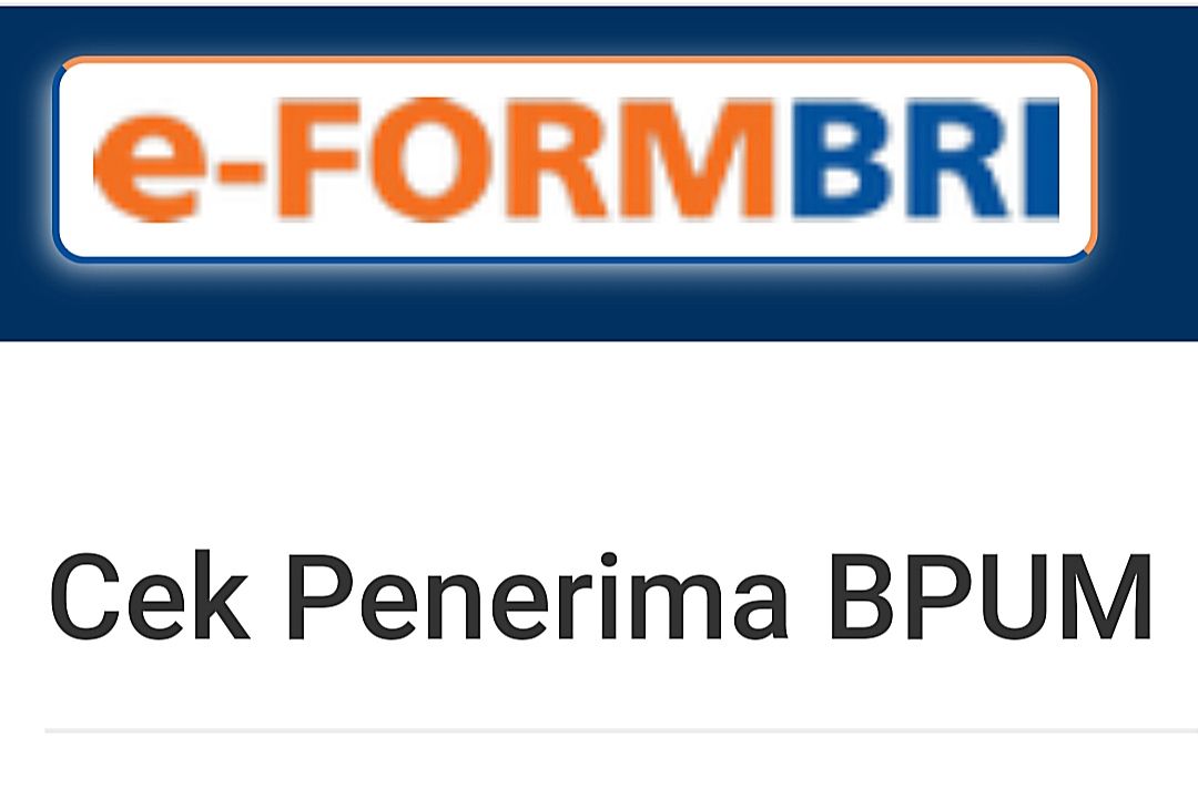 Input NIK KTP di link eform.bri.co.id untuk cek penerima BLT UMKM terbaru 2022.