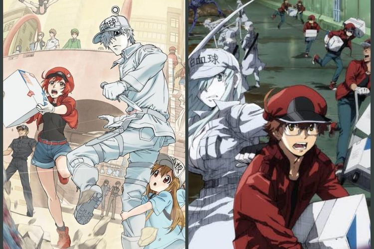 Serial Anime 'Hataraku Saibou' Mendapatkan Musim Kedua