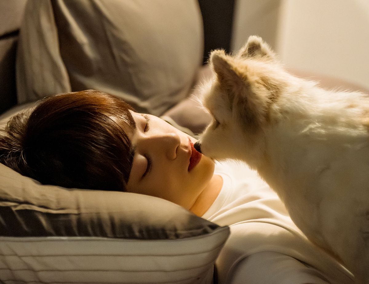 Akting Cha Eun Woo dalam A Good Day to Be a Dog 