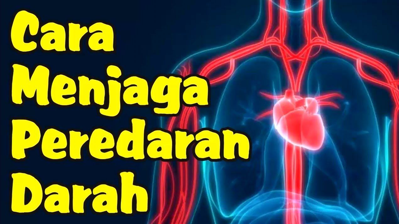 Ilustrasi darah dalam tubuh