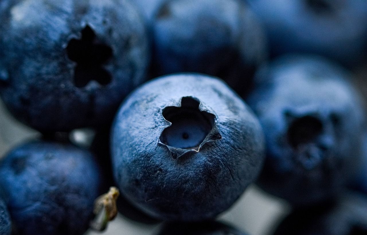 Ilustrasi - buah blueberry.