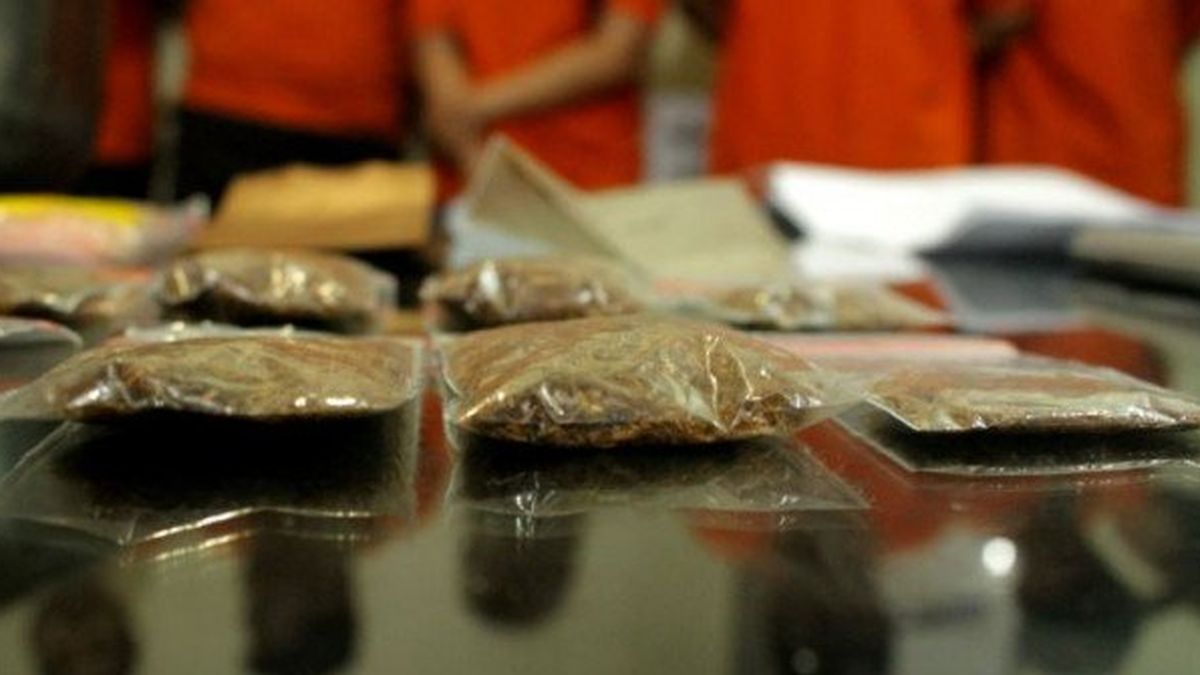 Rumah Mewah di Sentul jadi Tempat Produksi Ganja Sintetis Pinaca, Sindikat Internasional Terlibat