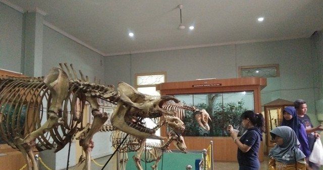Museum Zoologi Bogor.