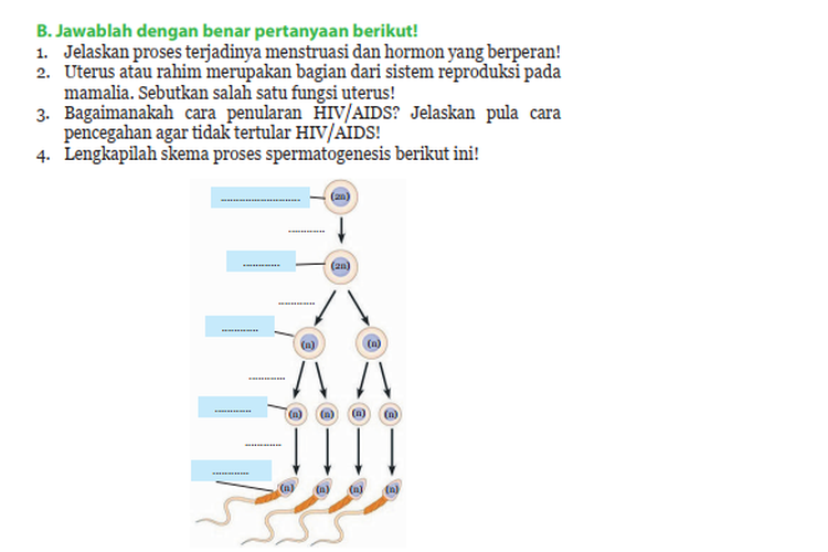 KUNCI JAWABAN IPA Kelas 9 Halaman 49 Uji Kompetensi Bab 1 Bagian B ...