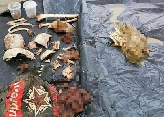 Cabikan baju dan potongan tubuh korban ditemukan di perut buaya.