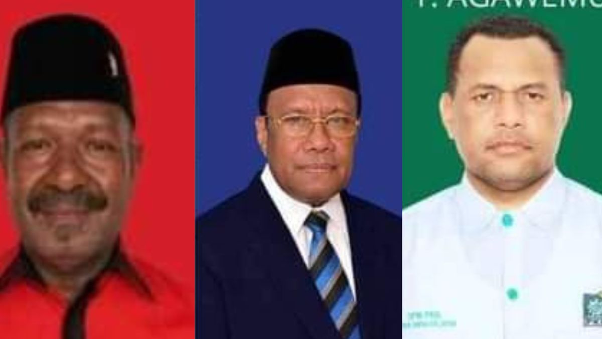 Hasil Resmi Pemilu 2024: Ini Caleg DPR RI Dapil Papua Selatan Terpilih ...