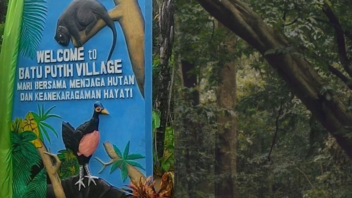 WAJIB Dikunjungi Hanya 45 Menit Dari Manado, Taman Wisata Alam Yang ...