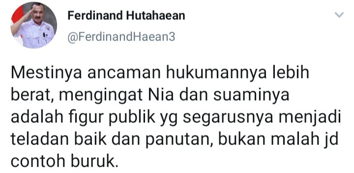 Cuitan Ferdinand Hutahaean soal Nia Ramadhani kaget dan keberatan dituntut 12 bulan rehabilitasi.