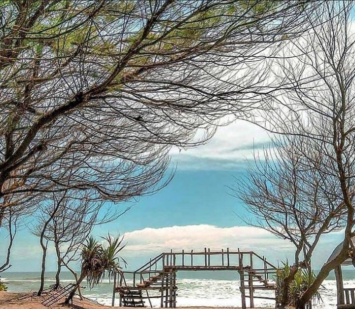 Destinasi Wisata Alam Pantai Goa Cemara di Yogyakarta Buka 24 Jam, Yuk Cek Harga Tiket Masuknya