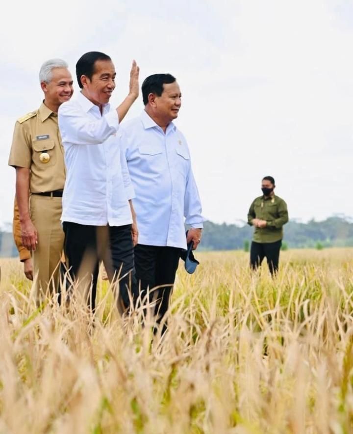 Presiden Jokowi telah berperan sebagai kingmaker
