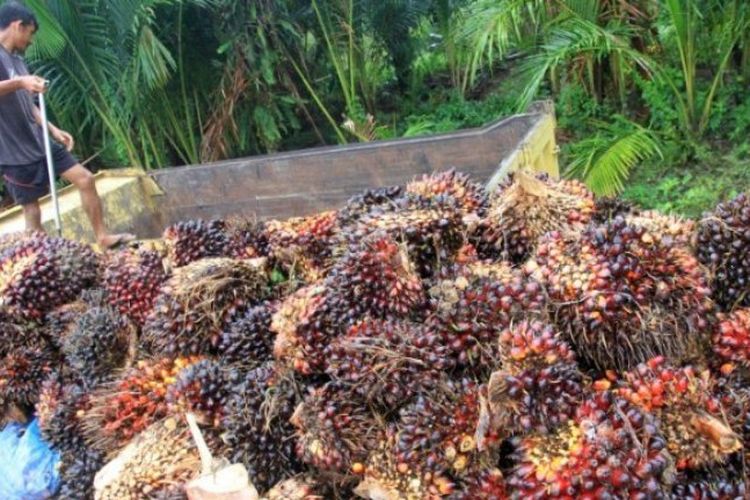 minyak kelapa sawit menjadi industri makanan yang banyak diekspor ke negara