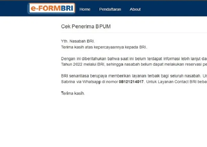 Login Eform.bri.co.id Cek Penerima BPUM Pakai NIK KTP Tak Bisa, UMKM