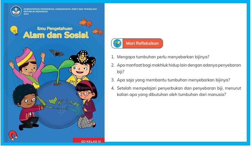 Kunci Jawaban IPAS Kelas 4 Halaman 24 Penyebaran Biji, Bab 1 Tumbuhan ...