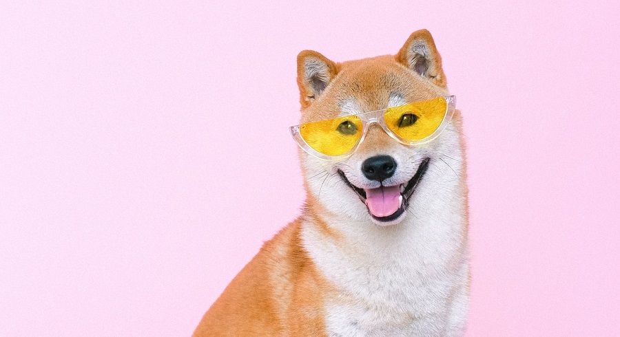 How To Buy A Shiba Inu Nft
