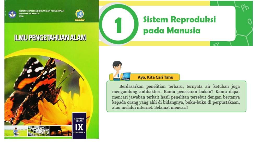 Adik-adik, inilah pembahasan kunci jawaban IPA kelas 9 SMP MTs halaman 47, 48, 49, uji kompetensi bab 1, pilihan ganda dan esai K13 terlengkap 2022.