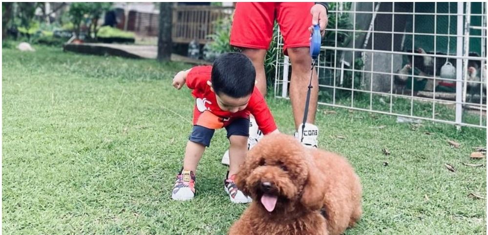 Istri Arya Saloka, Putri Anne menanggapi serangan netizen yang mengomentari foto anaknya, Ibrahim, yang memegang anjing.