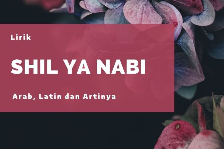 Lirik Sholawat Shil Ya Nabi Lengkap Arab Latin Dan Artinya - Berita ...