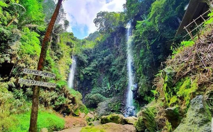 Curug Badak dan Curug Batu Hanoman di kawasan hutan pinus KPH Perhutani Tasikmalaya, tepatnya di Desa Sukasetia, Kec. Cisayong, Tasikmalaya, Jawa Barat.