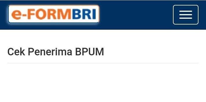 Simak cara akses link eform.bri.co.id untuk cek nama penerima BPUM 2022 atau BLT UMKM kepada pelaku usaha.