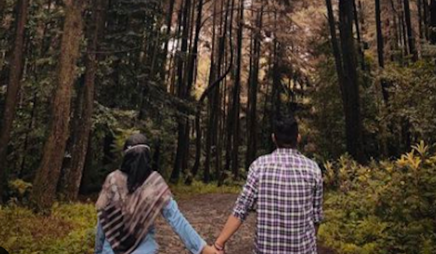 Pesona hutan pinus di Taman Wisata Alam Gunung Pancar Bogor banyak dipakai untuk spot foto Prewedding favorit