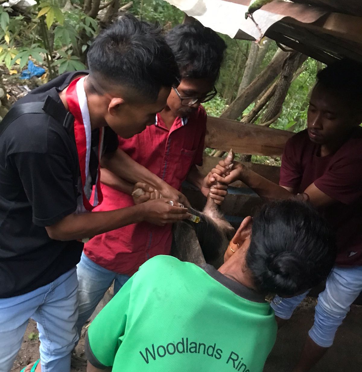 GMNI lakukan kegiatan KKM di Desa Oetulu, Kecamatan Musi Kabupaten TTU (Realitasttu.com)