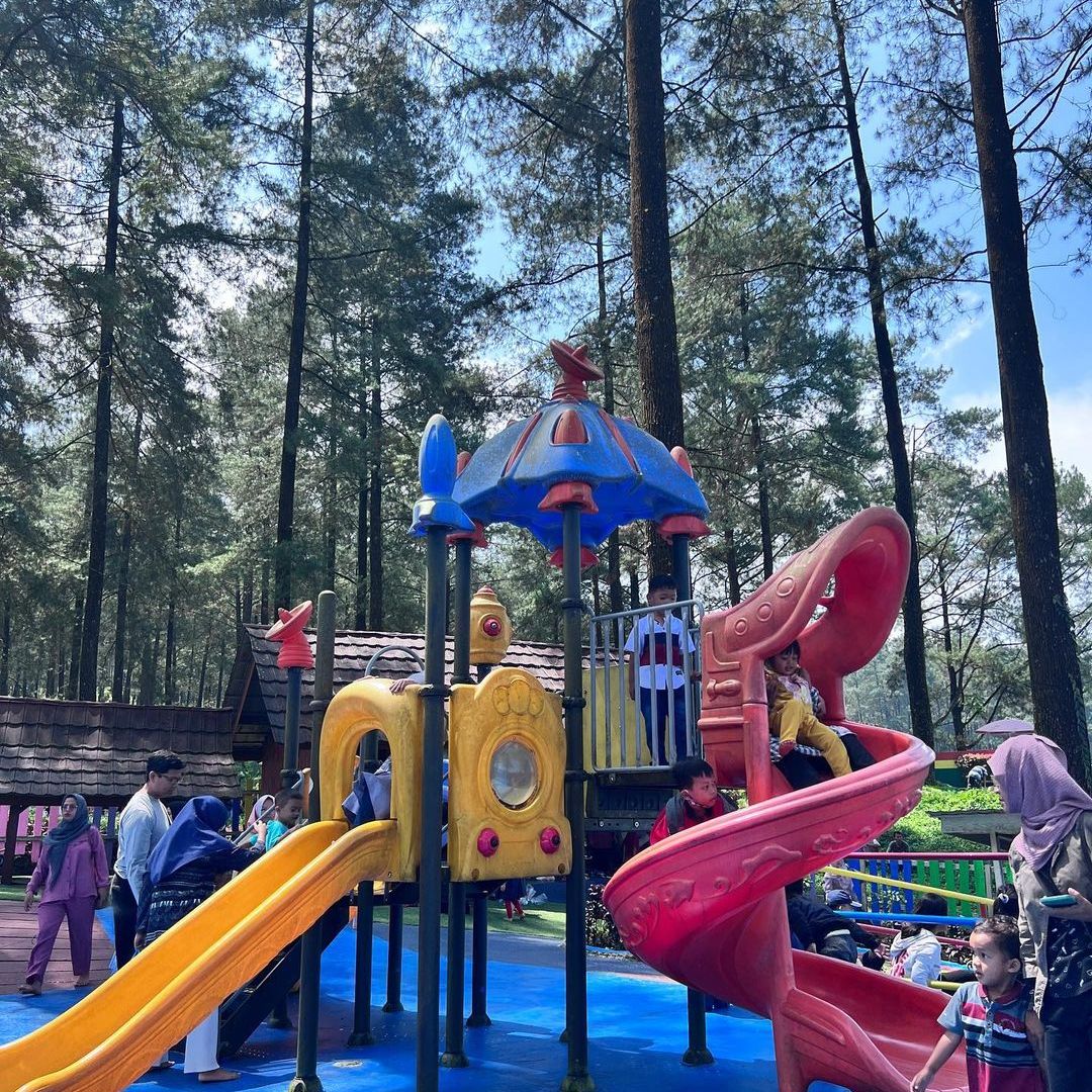 Playground di hutan pinus Limpakuwus