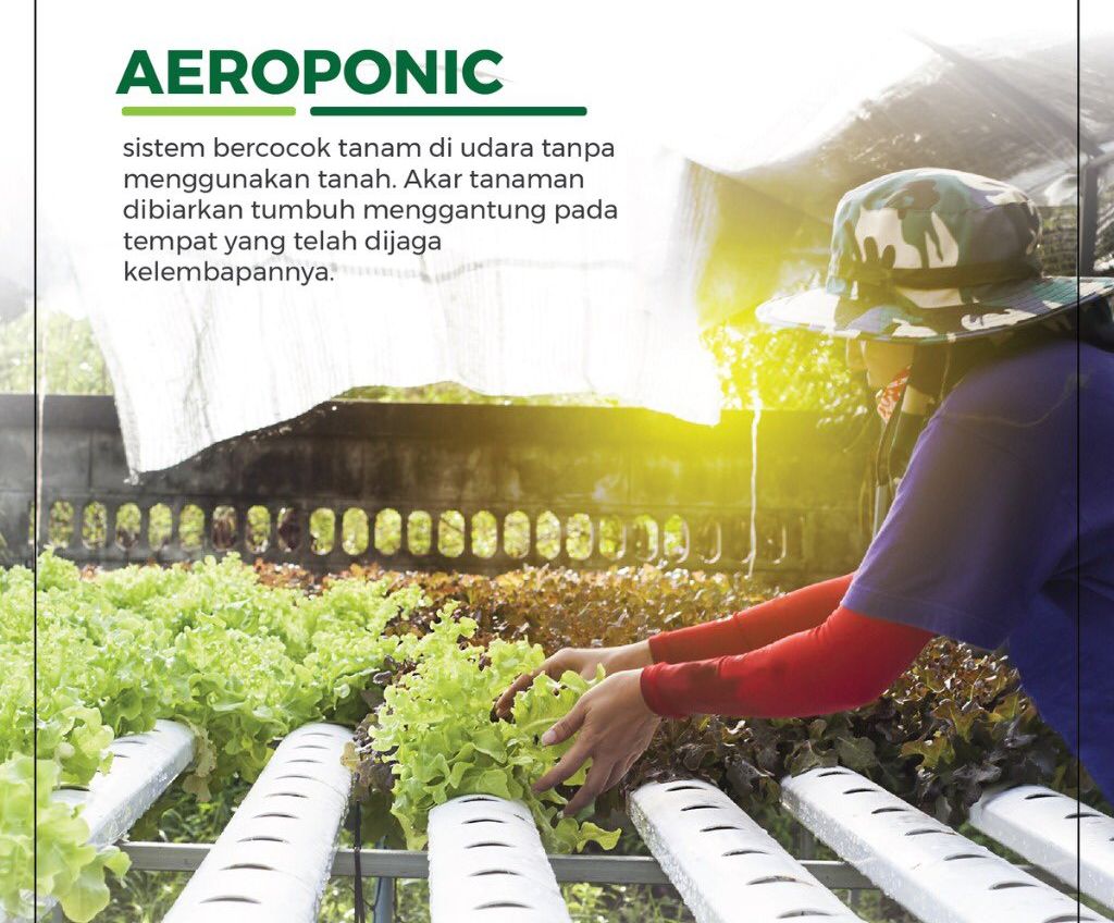 Aeroponik-twitter.com-Kementerian Pertanian RI.