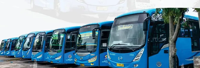 Photo of blue Damri buses