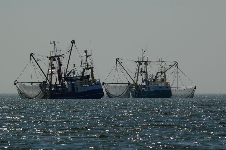 Kapal Vietnam Kerap Lakukan Illegal Fishing di Laut Natuna Utara, Pemerintah Diminta Tegas