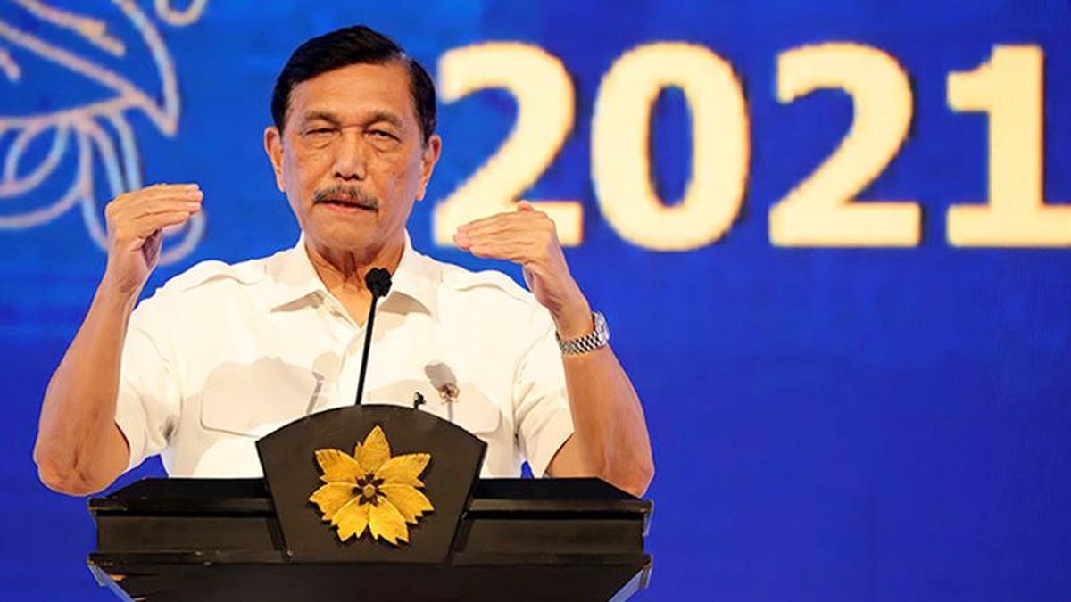 Luhut Minta Tukang Kritik Pindah dari Indonesia