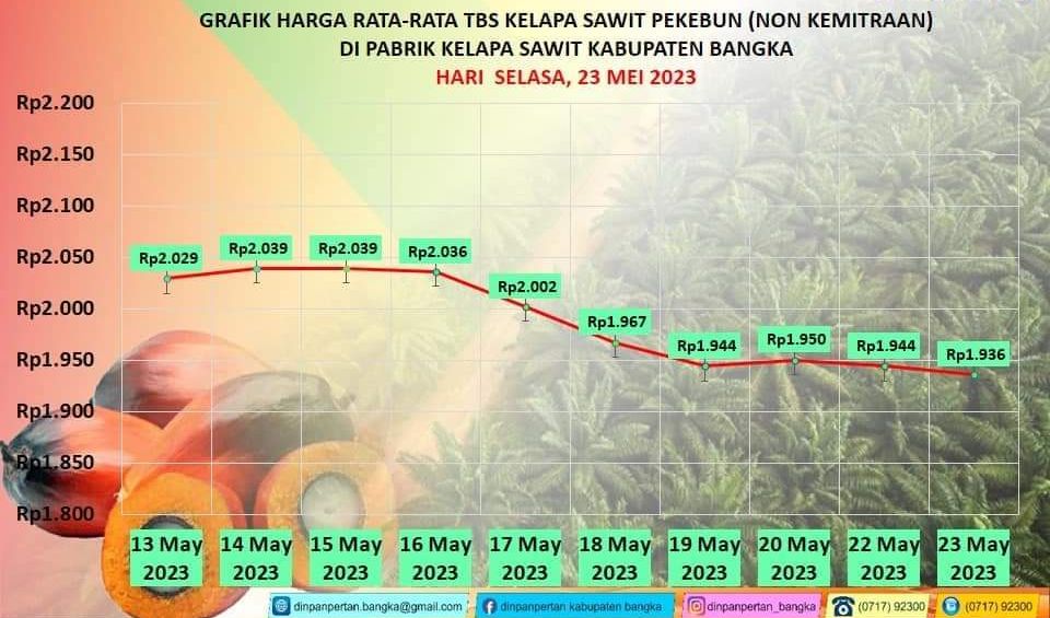 Grafik harga rata rata TBS sawit di Kabupaten Bangka 13-23 Mei 2023.