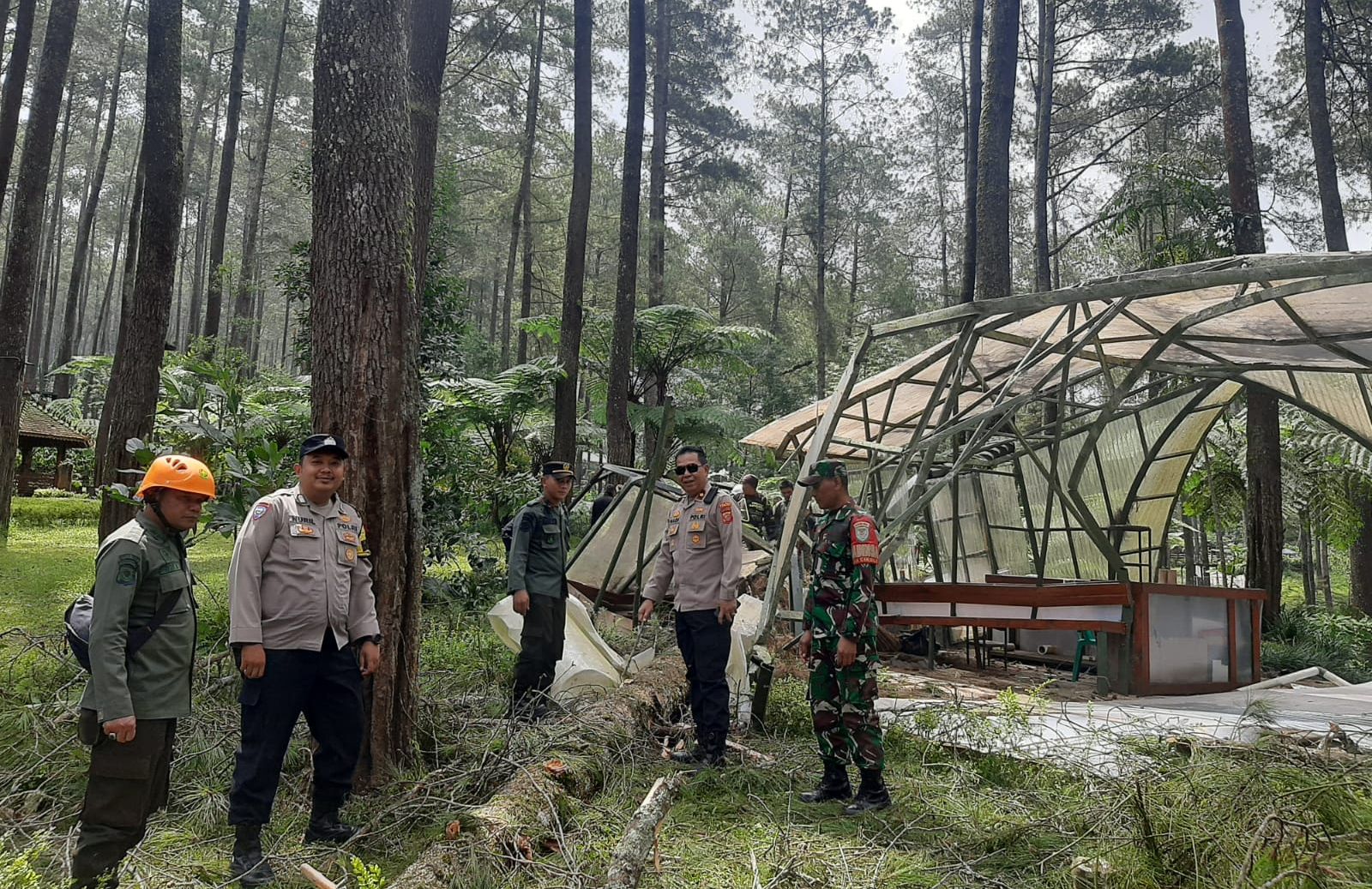 Pihak perhutani dan Polsek Lembang meninjau langsung ke lokasi pohon tumbang di wilayah kawasan hutan wisata Cikole, Lembang pada Selasa 12 Maret 2024.