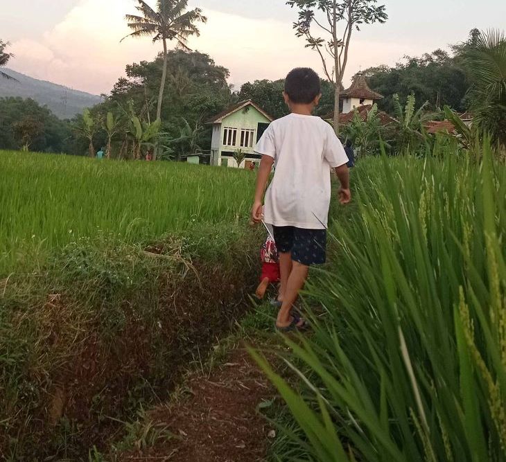 Mengejar layangan putus berlari diantara pematang sawah menjadi tantangan kesenangan dan kepuasan tersendiri bagi anak-anak di Dusun Cibenda RT 03 RW 04 Desa Cikahuripan Kecamatan Cimanggung Kabupaten Sumedang.
