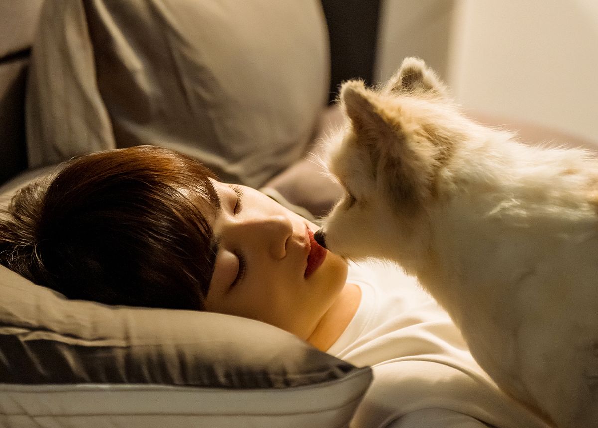 Spoiler Episode 4 A Good Day to Be a Dog: Hae Na Berusaha Cium Seo Won untuk Hilangkan Kutukannya