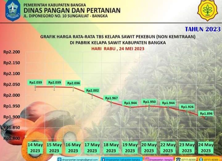 Grafik Rata-rata Harga TBS Sawit Kabupaten Bangka, Provinsi Bangka Belitung Hari Ini, Rabu, 24 Mei 2023