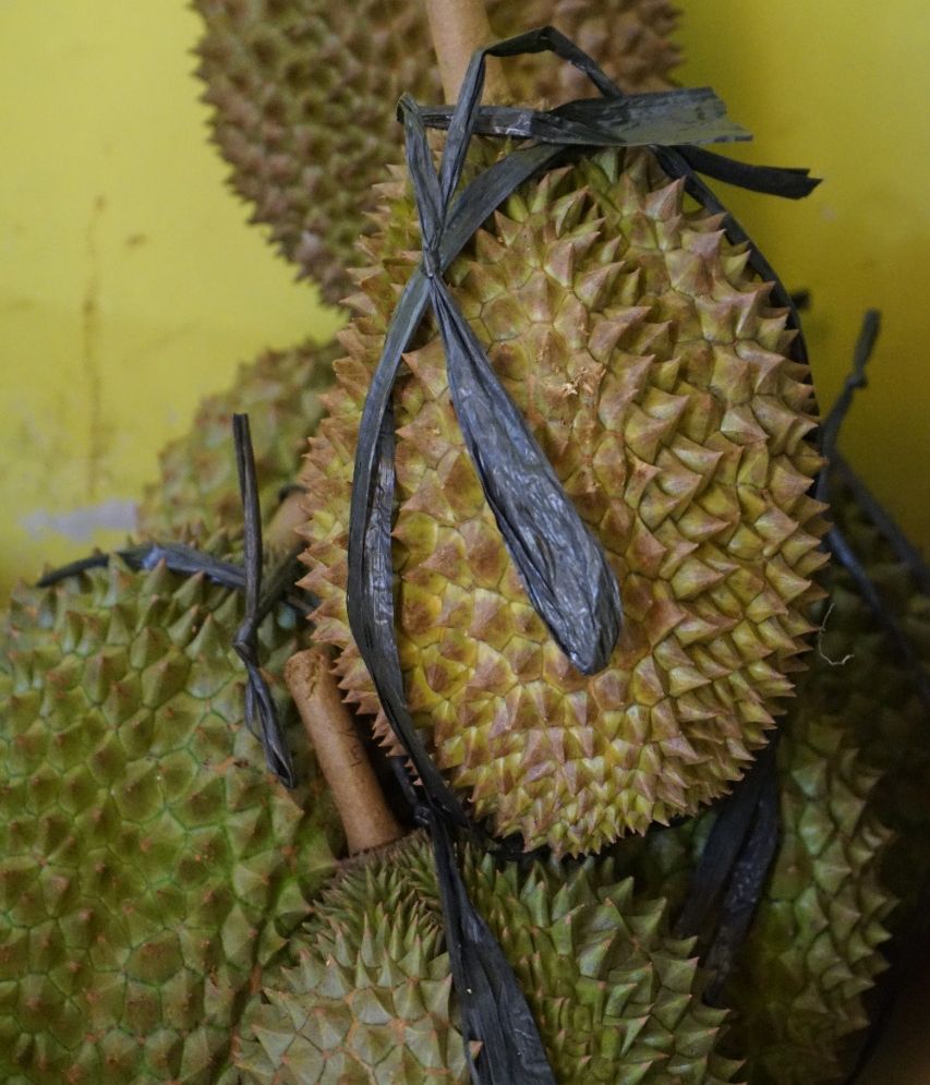 Durian Purbalingga 