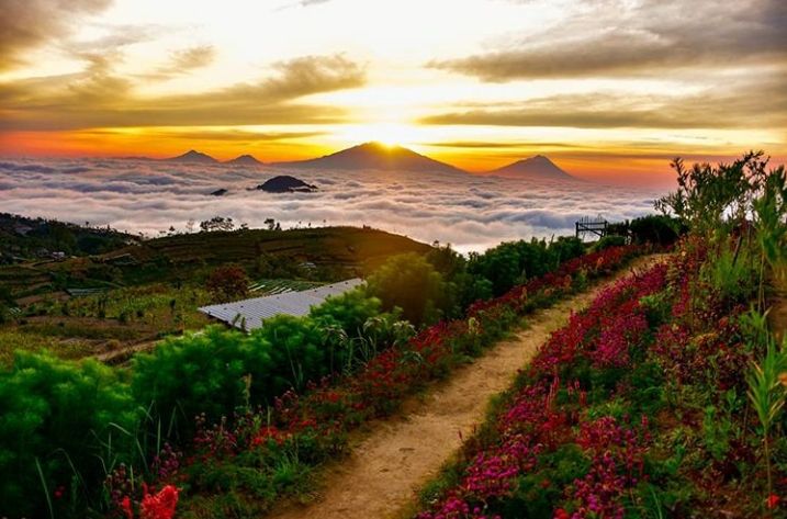 Silancur Highland: Rekomendasi Wisata Sunrise di Magelang, Jawa Tengah -  Berita DIY