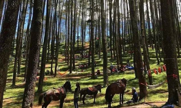 Healing Asik Nih! 3 Rekomendasi Tempat Wisata di Cileunyi Kabupaten Bandung, Bisa Camping Juga
