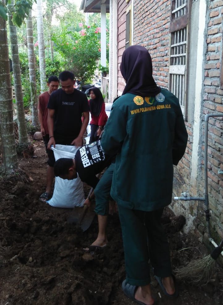 Tujuh mahasiswa Polbangtan Gowa asyik membuat kompos untuk digunakan di lahan sawah pertanian alami/WartaBulukumba.Com