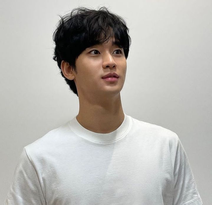 Daebak! Segini Bayaran Aktris dan Aktor Top Korea, Kim Soo-hyun