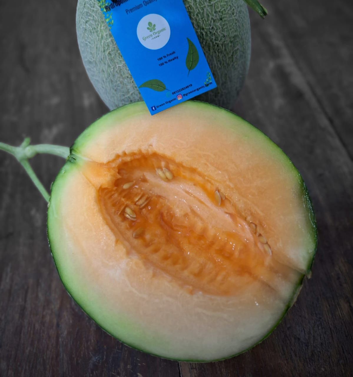 Penampakan melon HMQ lokal premium yang dipanen di Green Organic Farm Ciamis.