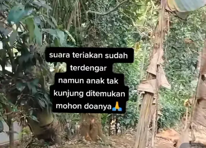 Viral Video Bocah Di Subang Hilang Misterius Dikaitkan Dengan Hal Gaib ...