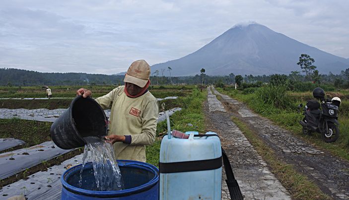 Pupuk Bersubsidi Langka Jadi Persoalan Menahun, Kerap Hambat Petani Saat Musim Tanam