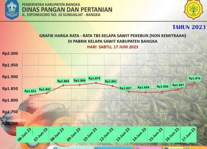 Harga TBS sawit di Kabupaten Bangka Tidak Stabil Juni 2023