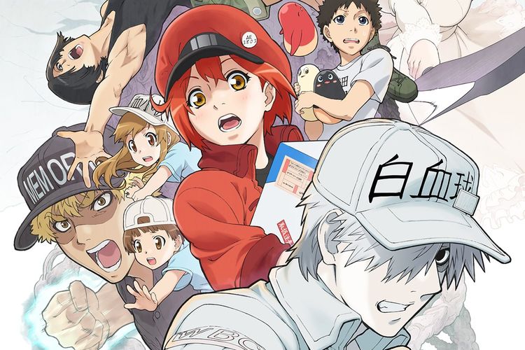 Serial Anime 'Hataraku Saibou' Mendapatkan Musim Kedua