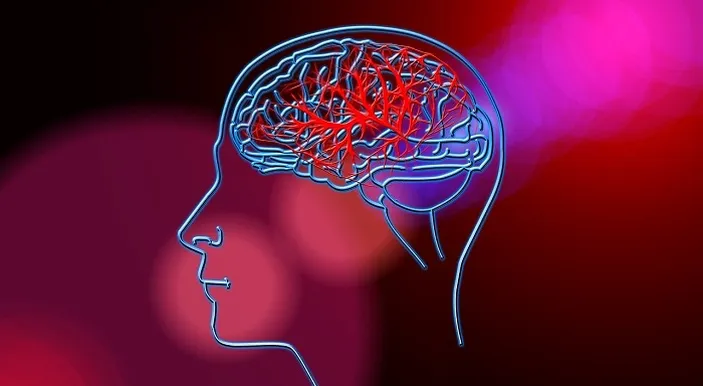 Mengenal Amoeba Pemakan Otak: Asal-usul, Penyebab Infeksi, Gejala, hingga Cara Mengobati