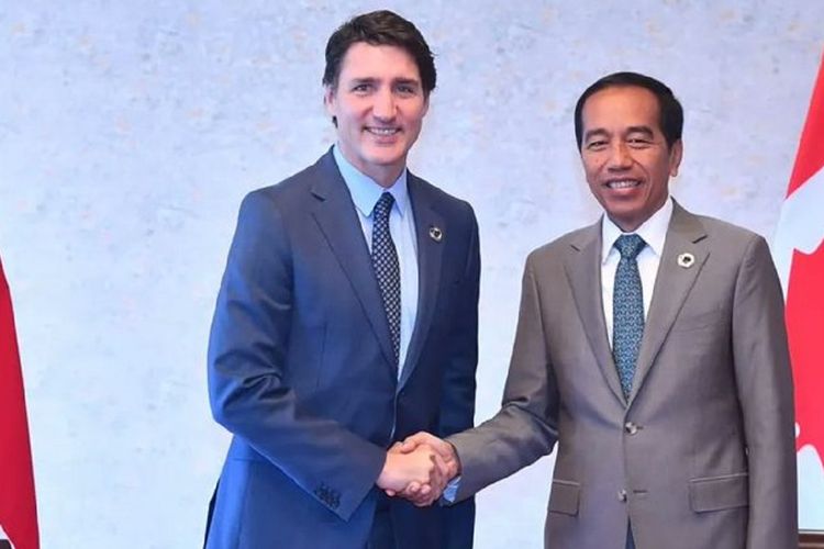 Jokowi Bertemu dengan Perwakilan Kanada, Presiden Desak Realisasi Investasi Untuk IKN