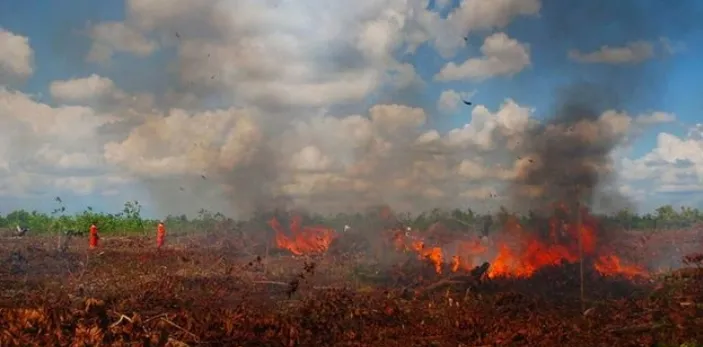 El Nino Di Indonesia: Dampak Dan Konsekuensi Perubahan Iklim Yang ...