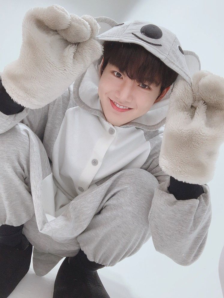 Kim Junkyu dijuluki koala tampan.*