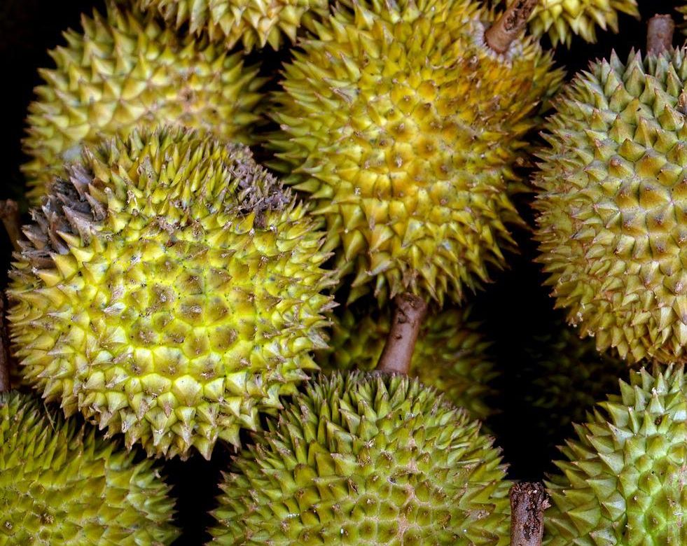 Durian. 